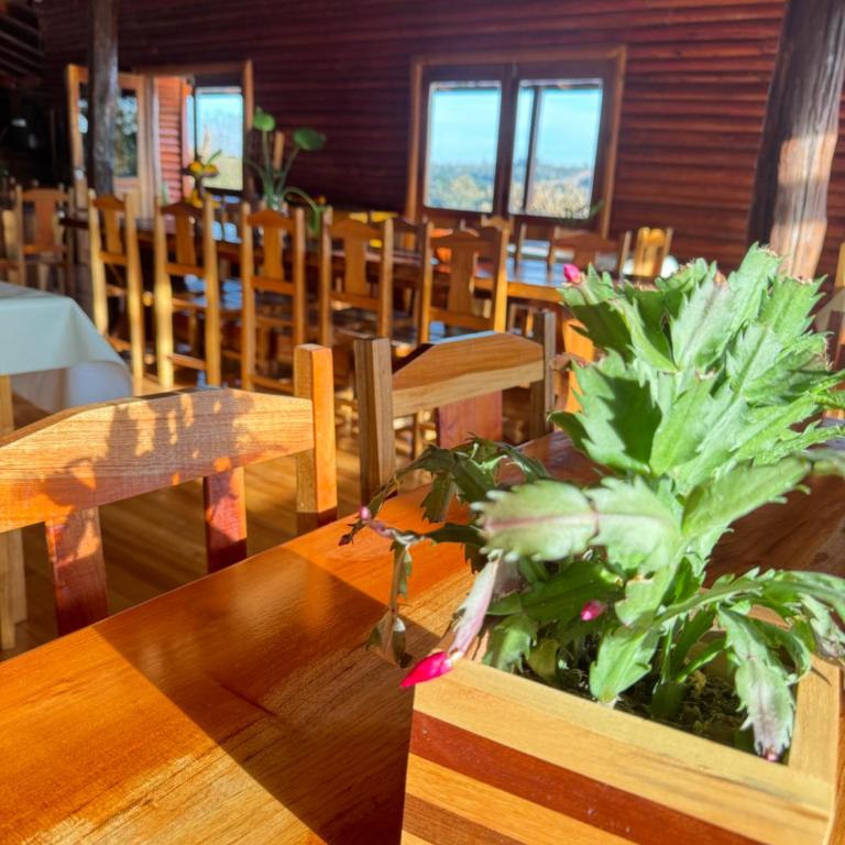 Alojamiento en los Saltos del Mocona - Misiones - Apartamento de 1 dormitorio - 35