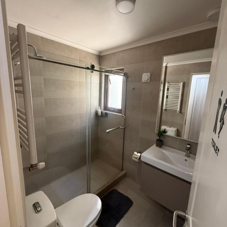 Apart Hotel Chillán - Platinum house - Parking - Wifi - Factura - Apartment - 2