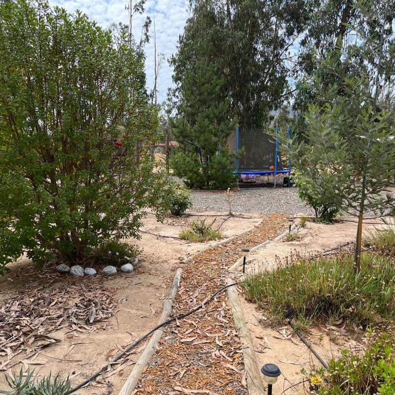 Parcela en Condominio, comuna Zapallar - Three-Bedroom House - 11