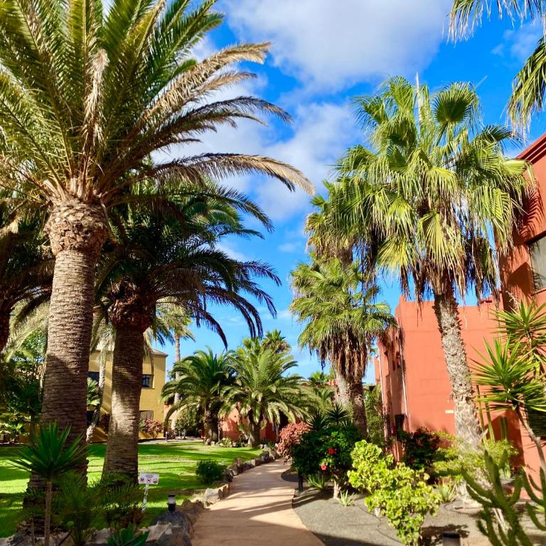 Casa Oasis Verde Tamarindo - Apartamento de 1 dormitorio - 77