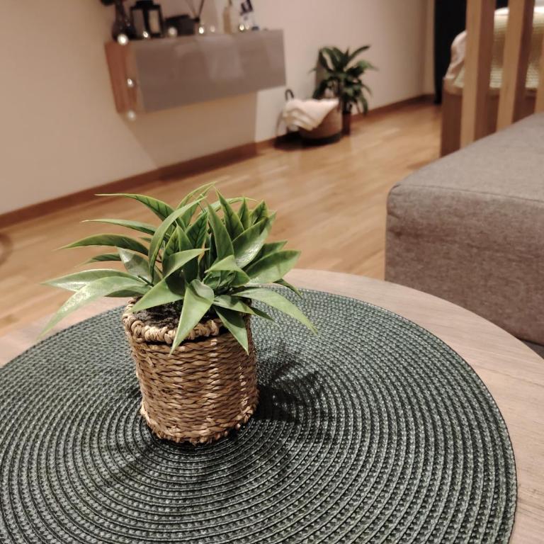 Harmony Dream - Apartman sa 1 Spavaćom Sobom - 24