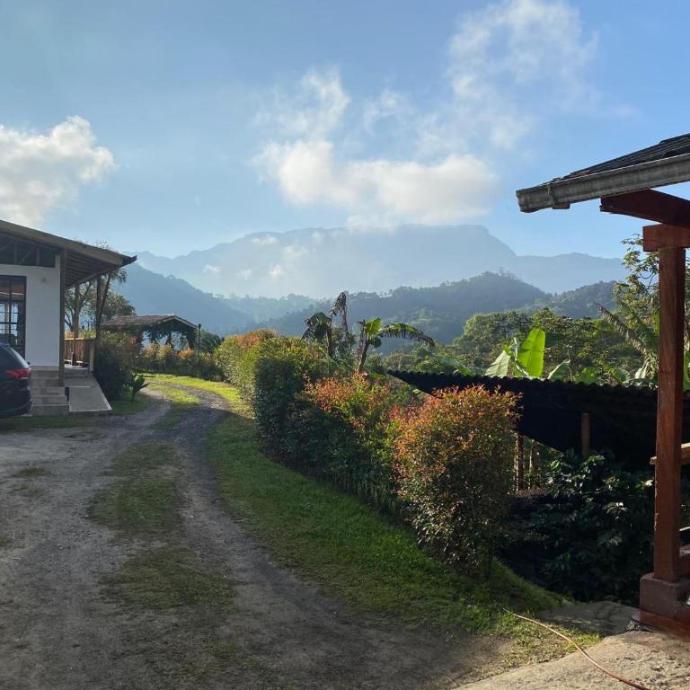 Finca El Cural - Apartamento - 2 niveles - 23