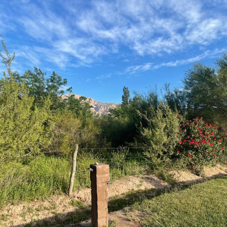 Tras Las Sierras - Casa de 3 dormitorios - 44