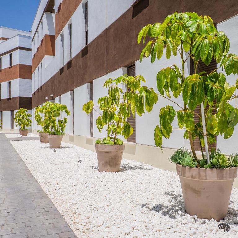 Modern apartment with sea view and terrace - Apartamento de 2 dormitorios - 9