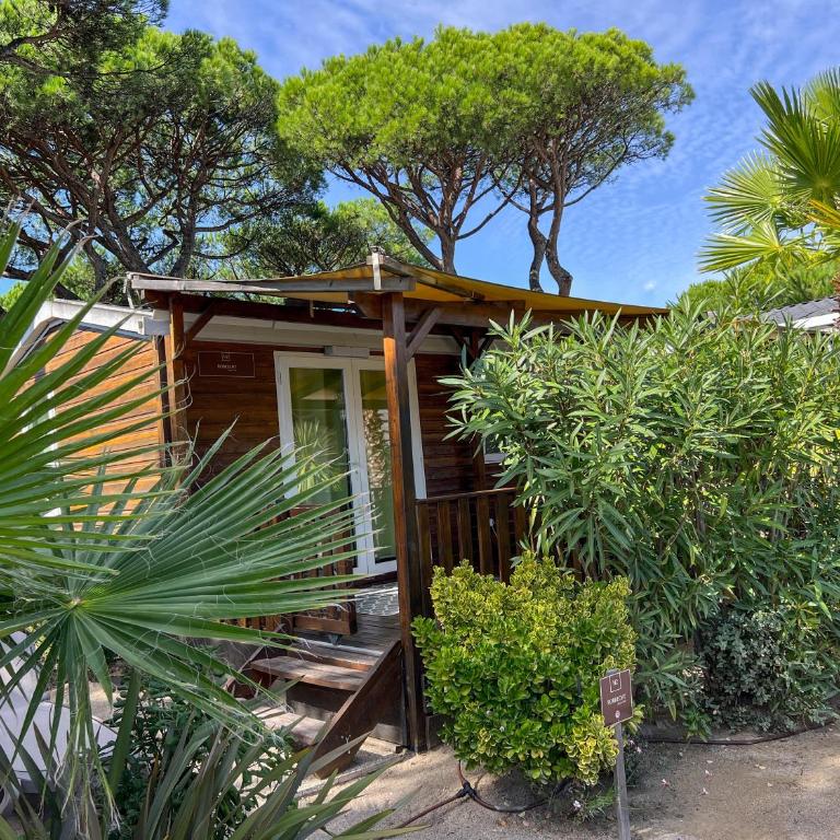Sas Robrecht - Chalet Super Venus Bois mit 2 Schlafzimmern - 1