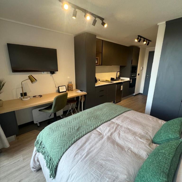 Suite Compacta y Elegante - One-Bedroom Apartment - 2