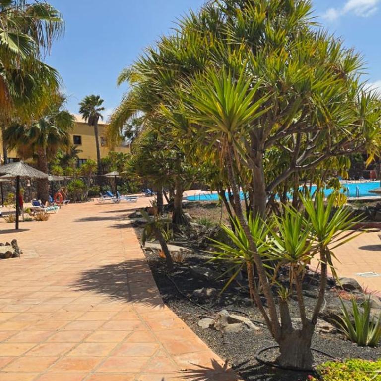 Casa Oasis Verde Tamarindo - Apartamento de 1 dormitorio - 93
