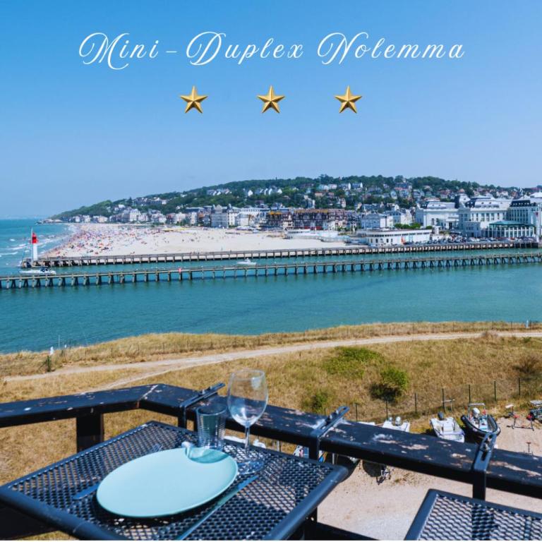 Mini-duplex NOLEMMA - splendide vue mer, balneo et parking - Appartement 1 Chambre - 1