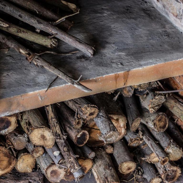 Villa Germana - Villa con vistas al jardín - 12