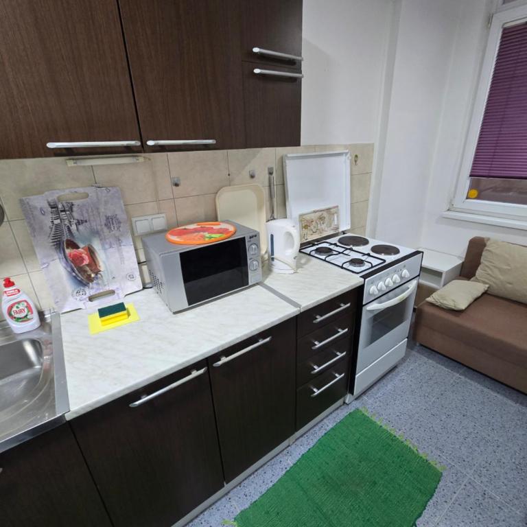 Drvenija old town free parking 2 cars quietly warm all walk distance - Two-Bedroom Deluxe Apartment with Balcony - 16