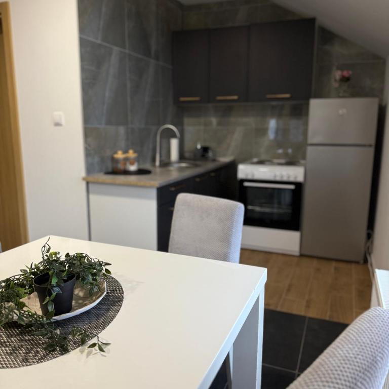 Apartman Rest Novi Sad - Apartman sa 1 Spavaćom Sobom - 4