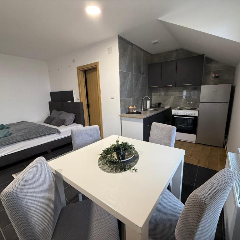 Apartman Rest Novi Sad - Apartman sa 1 Spavaćom Sobom - 1