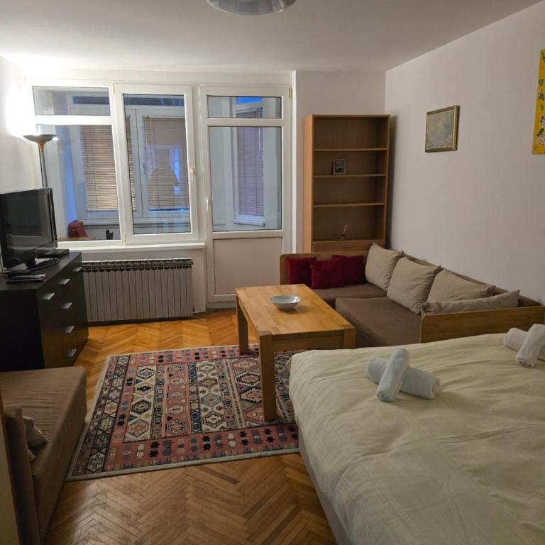 Drvenija old town free parking 2 cars quietly warm all walk distance - Two-Bedroom Deluxe Apartment with Balcony - 11