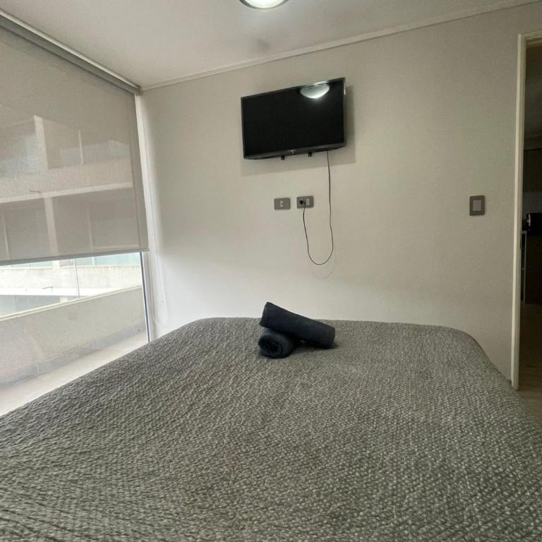 Alojamiento donde Alejandra - Two-Bedroom Apartment - 5