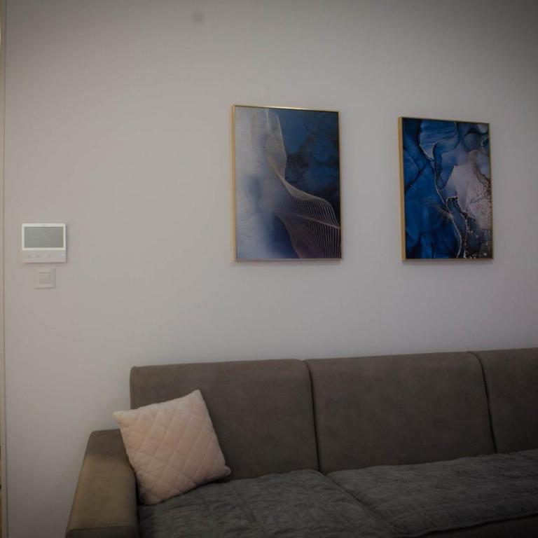 Posh Residence Podgorica - Apartman sa 1 Spavaćom Sobom - 14