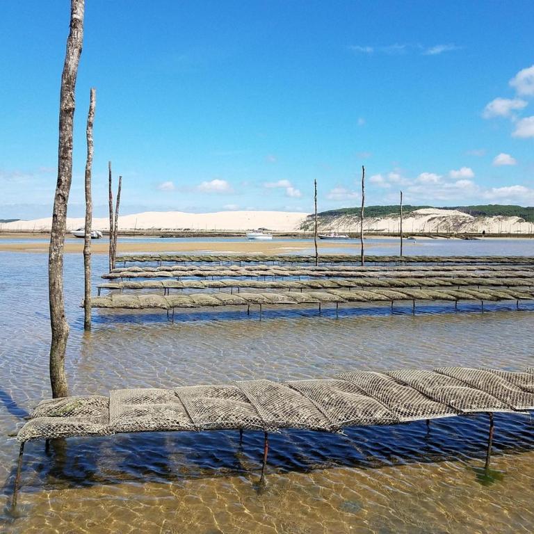 Appartement centre Arcachon, proche plage, 6 couchages, balcon, parking, Wifi inclus - FR-1-474-258 - Appartement - 21