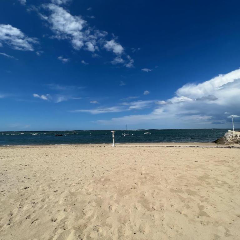 Vacances à Arcachon - Appartement proche du Moulleau avec Terrasse - FR-1-474-281 - Apartment - 18