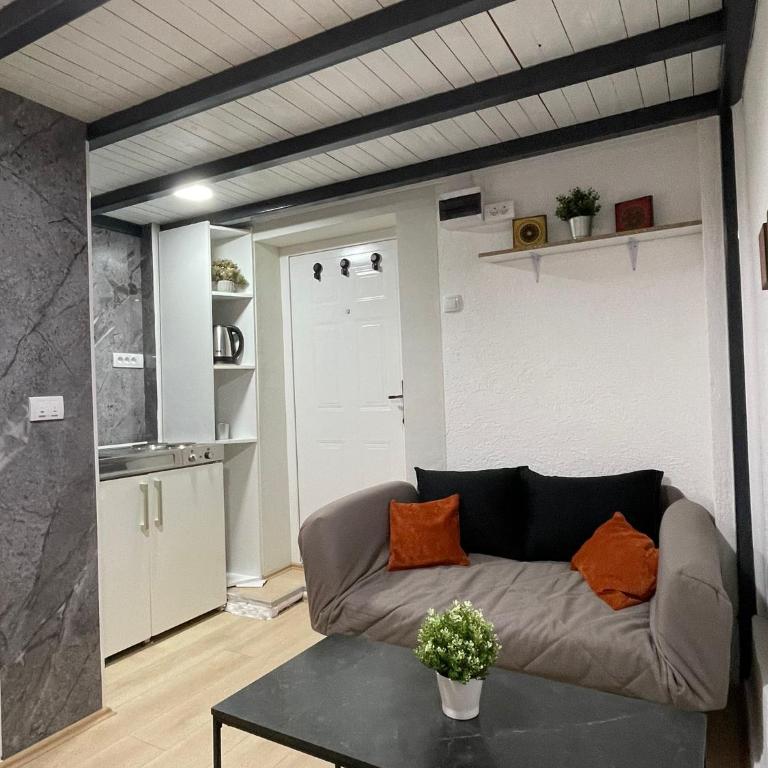 Princip Apartman - One-Bedroom Apartment - 4