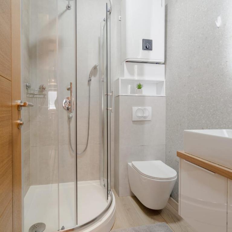 Apartmani Nova planina 02*03 - One-Bedroom Apartment - 16