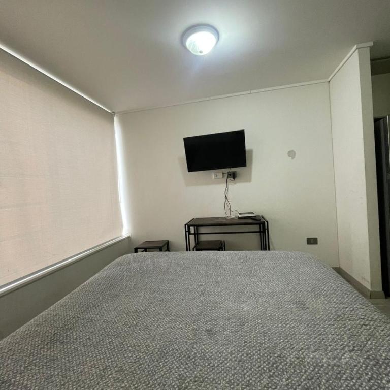 Alojamiento Alejandra Prieto Norte - One-Bedroom Apartment - 5