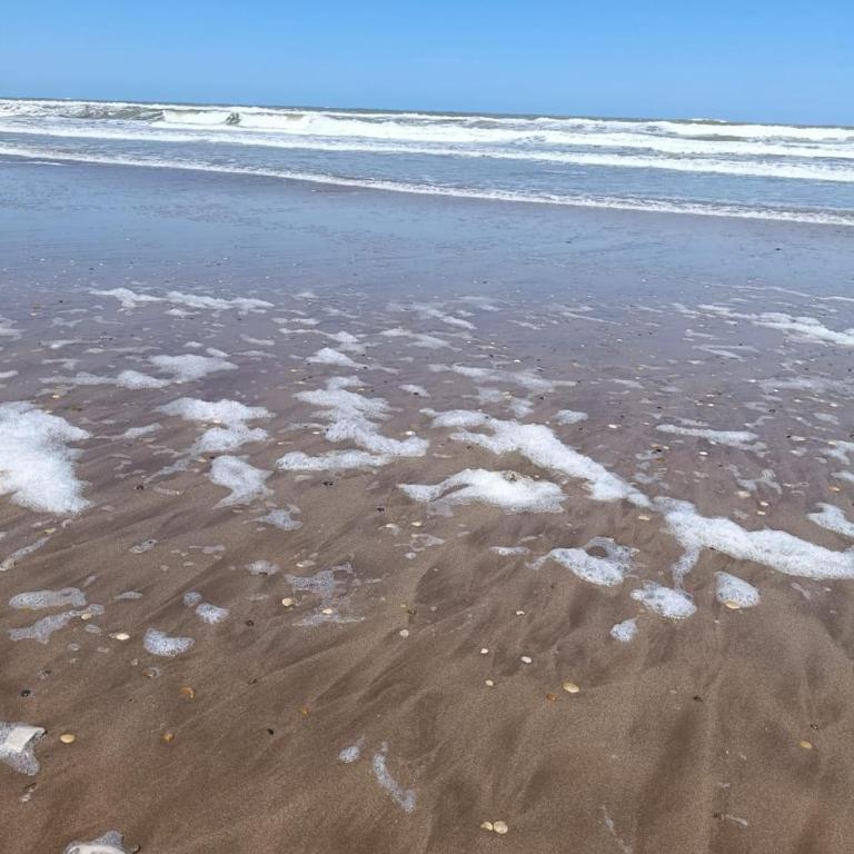 casita serena - Apartamento de 2 dormitorios - 2