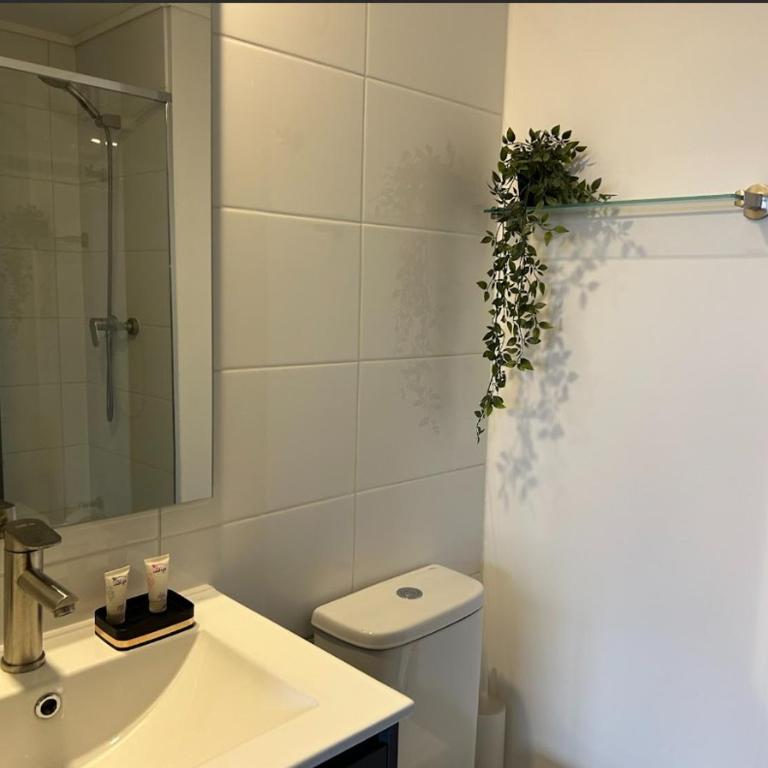 Santiago Centro I Alameda I La Moneda - One-Bedroom Apartment - 5