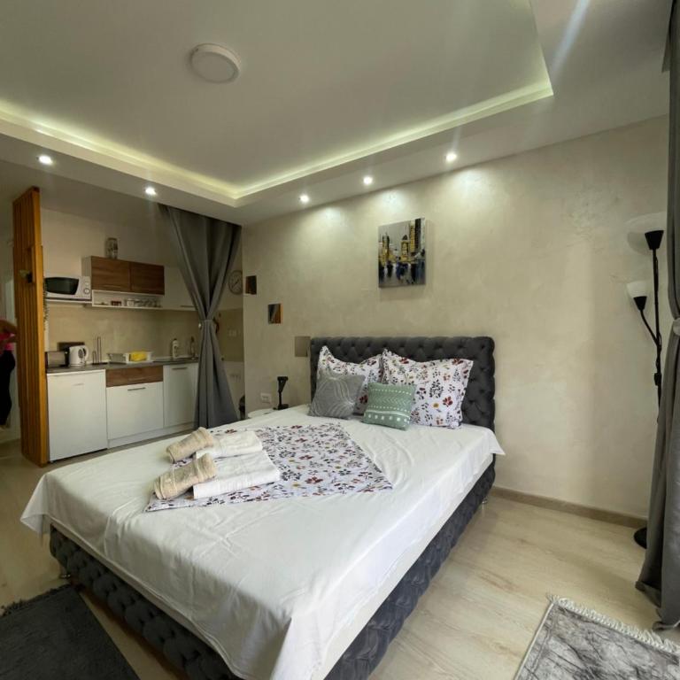 Apartmani Balkan Square - Studio with Balcony - 10