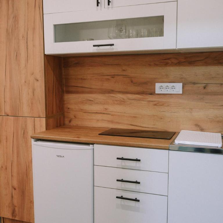 Time Out Studio Apartman - Apartman sa 1 Spavaćom Sobom - 15