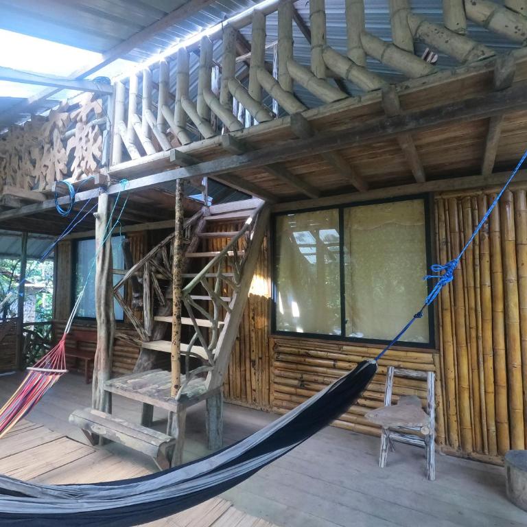 Sacha Wasi - Jungle Medicine Community - Twin Room with Shared Bathroom - 1