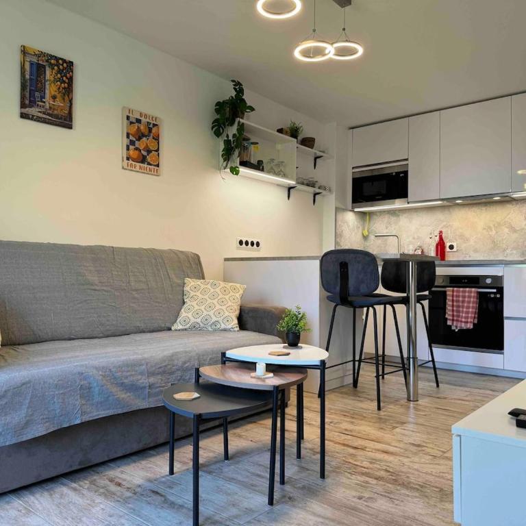 L'écrin de Lucile - Appartamento con 1 Camera da Letto - 1