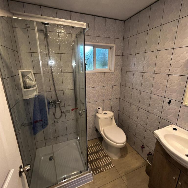 CABAÑAS Casa de Pajaritos, tu refugio en Curiñanco - One-Bedroom Apartment - 2