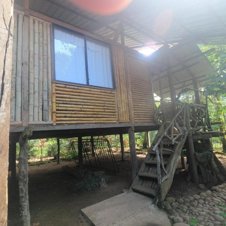 Sacha Wasi - Jungle Medicine Community - Twin Room with Shared Bathroom - 4