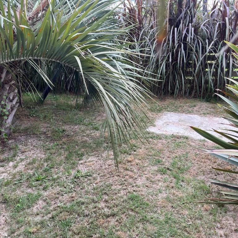 Rancho aparte - Apartamento Estudio - 2