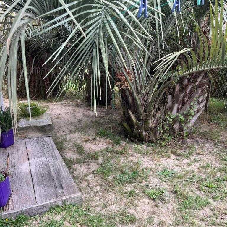 Rancho aparte - Apartamento Estudio - 3