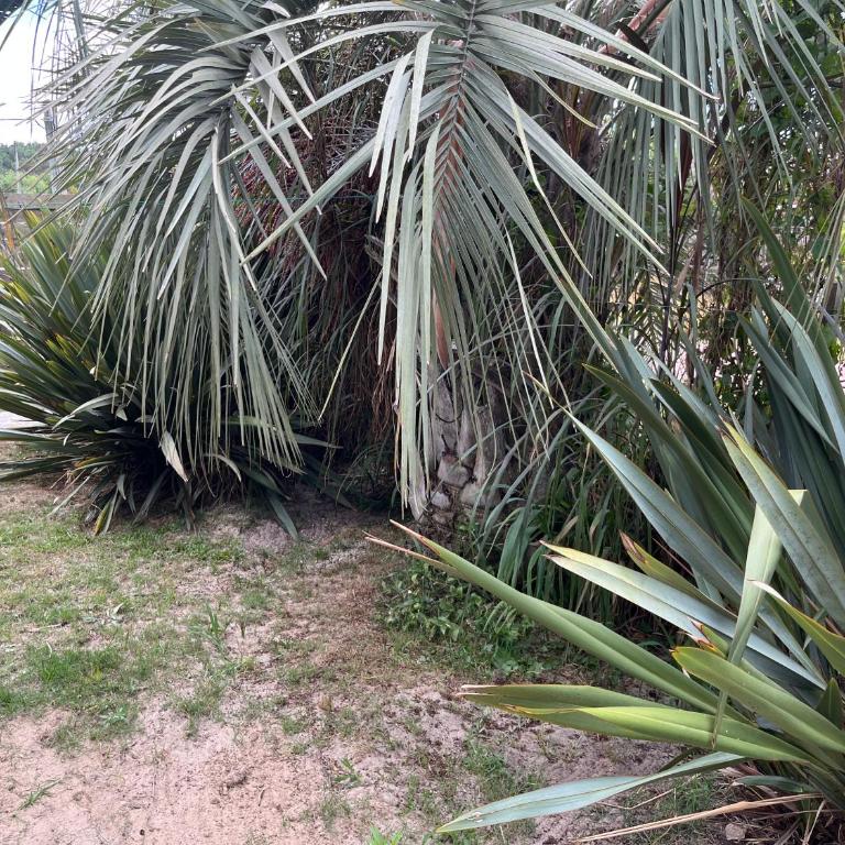 Rancho aparte - Apartamento Estudio - 12