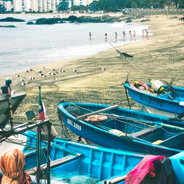 Papudo Laguna, Hermoso Apartamento junto al Mar - Apartamento de 2 dormitorios - 22