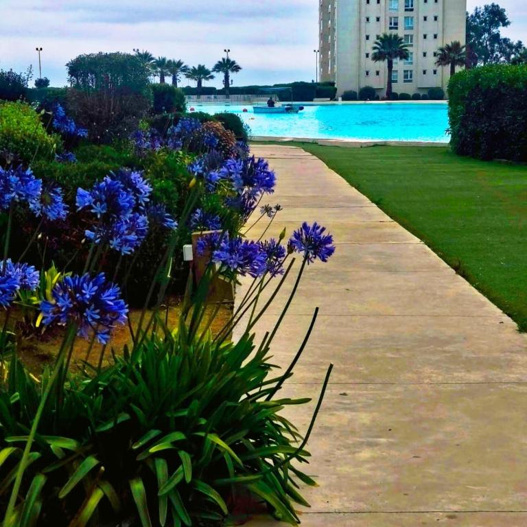 Papudo Laguna, Hermoso Apartamento junto al Mar - Apartamento de 2 dormitorios - 23