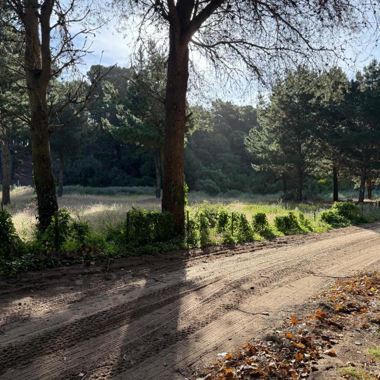 Latitud sur - Three-Bedroom House - 22