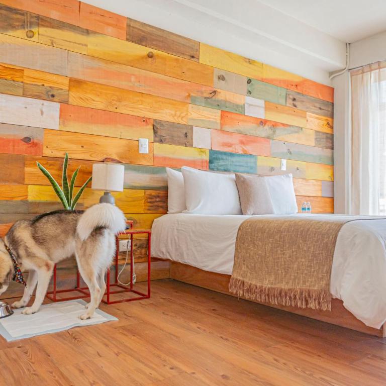 Mayan Monkey Cancun - Social Hotel - Double Room - 5