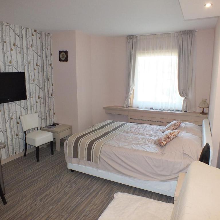 Apartments Konaci Kopaonik - Studio with Mountain View - 3