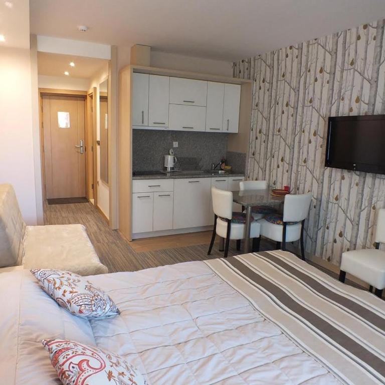Apartments Konaci Kopaonik - Studio with Mountain View - 1