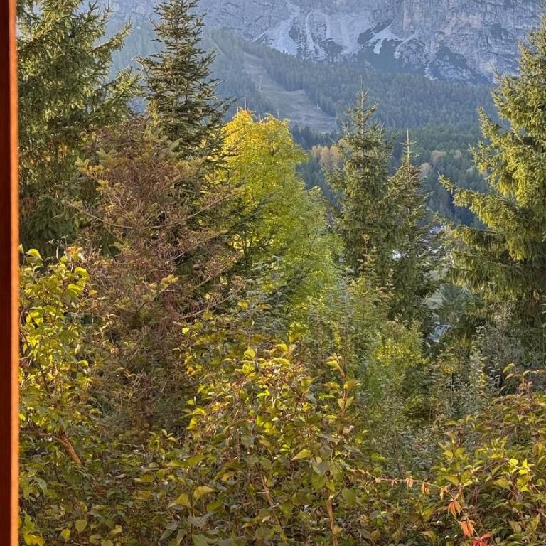 Apartment in the center of Cortina with private garage - Appartamento con 2 Camere da Letto - 12