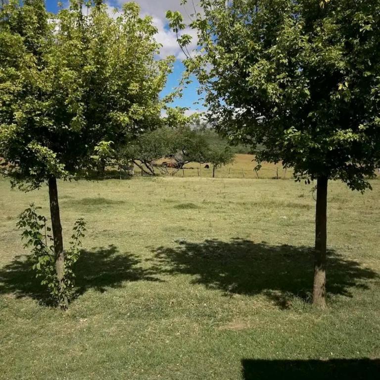 Alojamiento Luukii Dueño directo - Apartamento de 3 dormitorios - 4