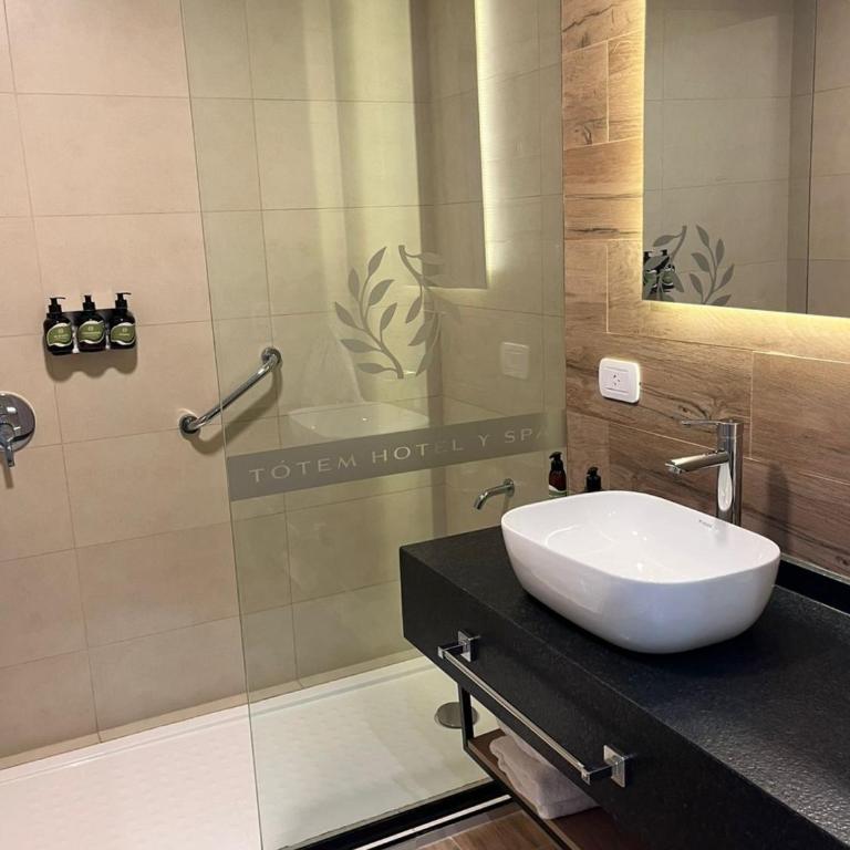 Tótem Hotel & Spa - Habitación Doble Estándar - 1 o 2 camas - 3