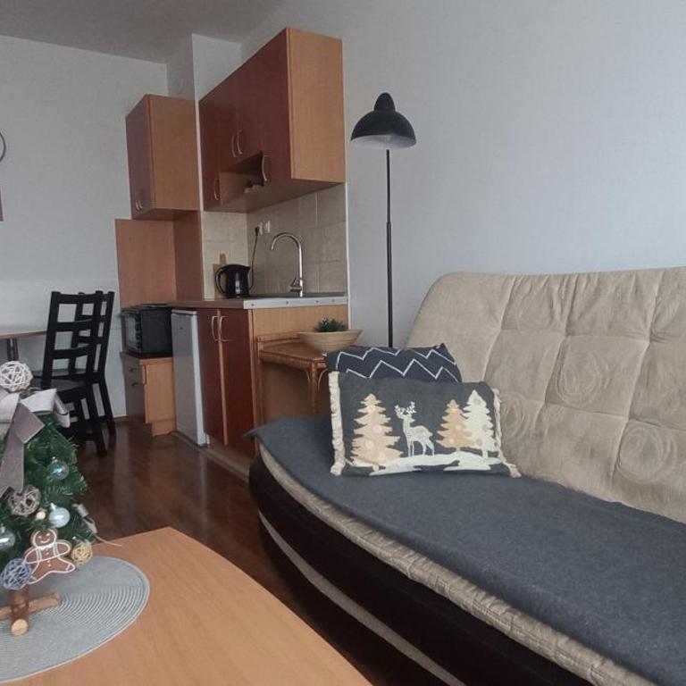 Divčibare Snežna Kraljica ap 13 - Apartman sa 1 Spavaćom Sobom - 2