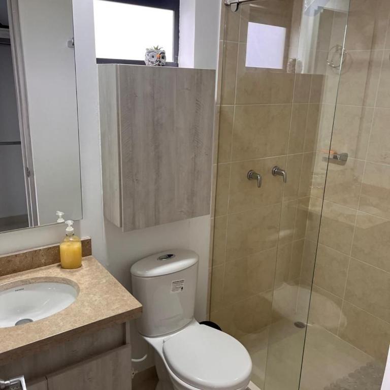 Confortable Apto Vacacional, Fusagasuga Cundin - Three-Bedroom House - 20