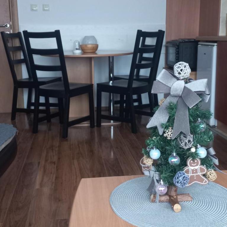 Divčibare Snežna Kraljica ap 13 - Apartman sa 1 Spavaćom Sobom - 11