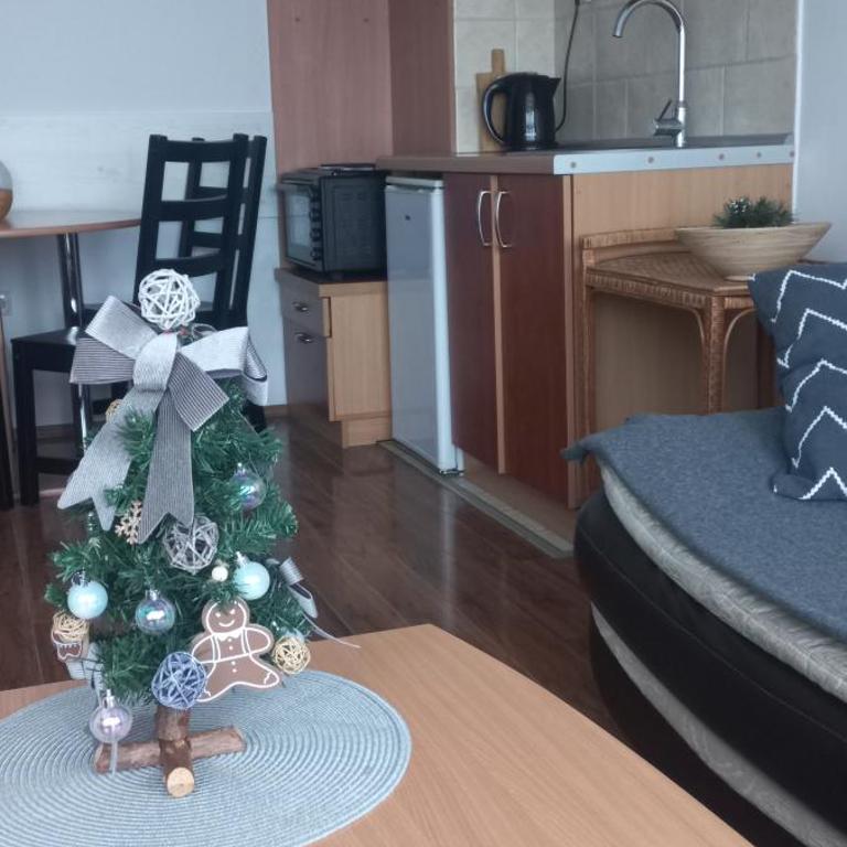 Divčibare Snežna Kraljica ap 13 - Apartman sa 1 Spavaćom Sobom - 12
