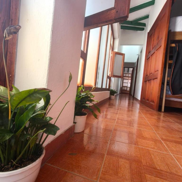 Roomii Hostel - Bed in 4-Bed Dormitory Room - 8