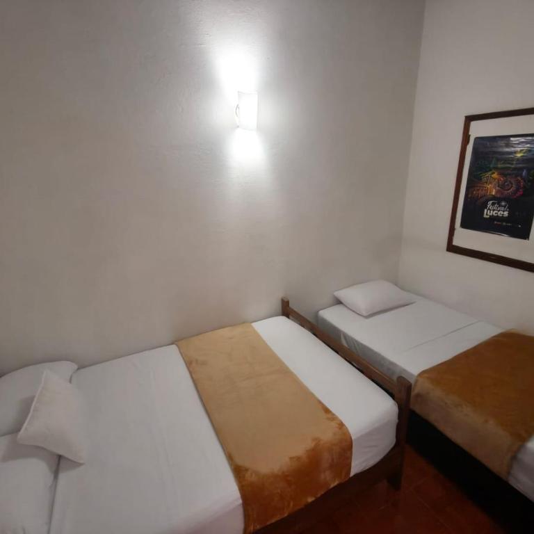 Roomii Hostel - Bunk Bed in Female Dormitory Room - 23